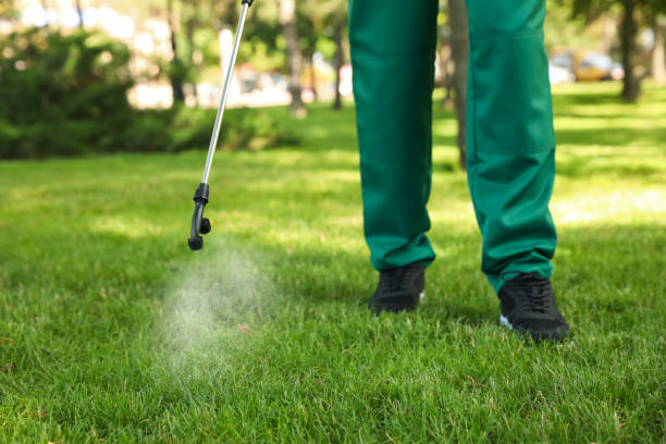 Best Cockroach Control Services  in Piedmont, OK