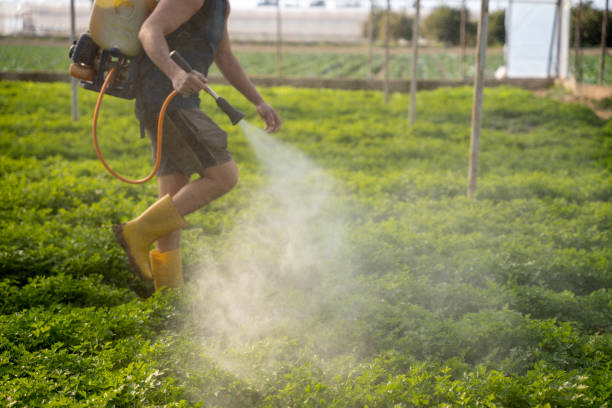 Best Pest Control Near Me in Piedmont, OK