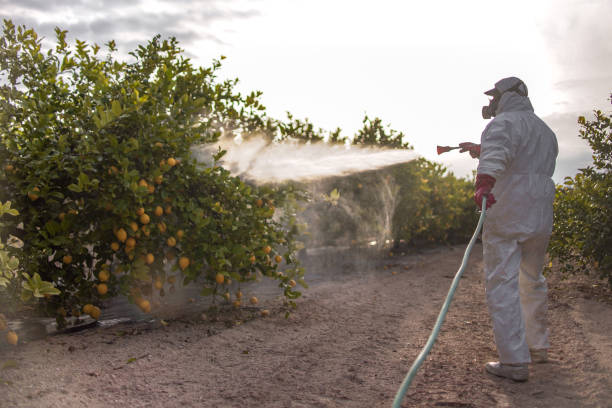 Best Mosquito Control Services  in Piedmont, OK