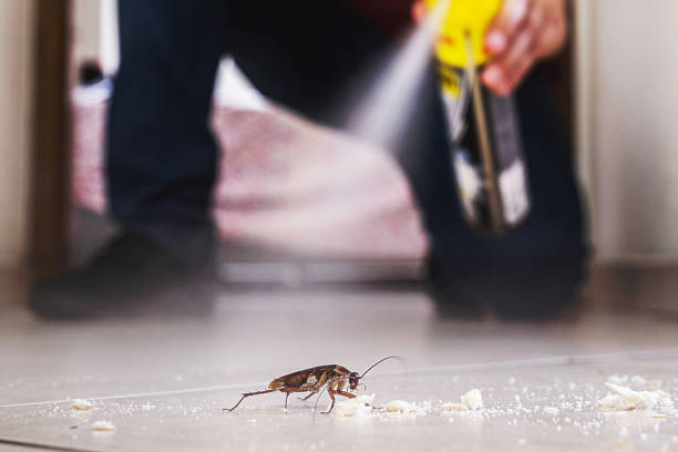 Best Residential Pest Control  in Piedmont, OK