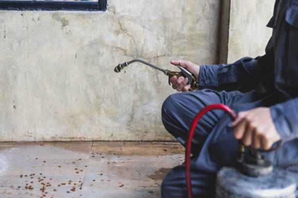 Best Flea Control Services  in Piedmont, OK